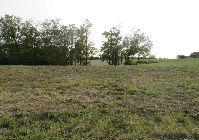 1st image of 590 Craig Crossing, Winchester, KY 40391 | MLS# 25506729