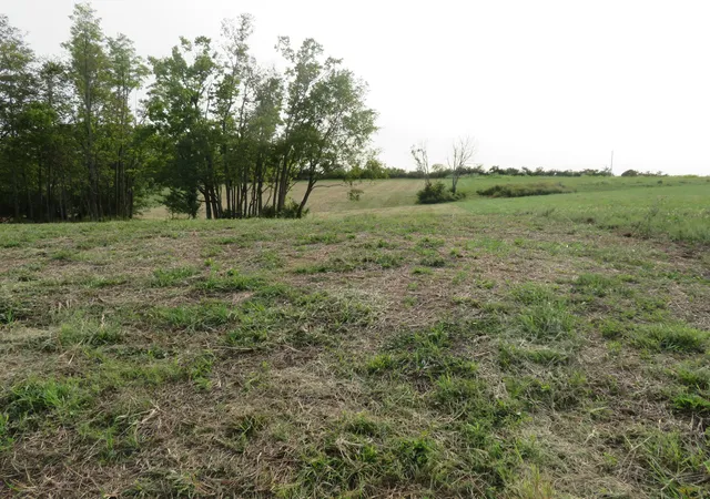 Photo 3 of Sale Pending at 590 Craig Xing, Winchester, KY 40391 | MLS# 25506729 | Listing updated on 2026-09-22