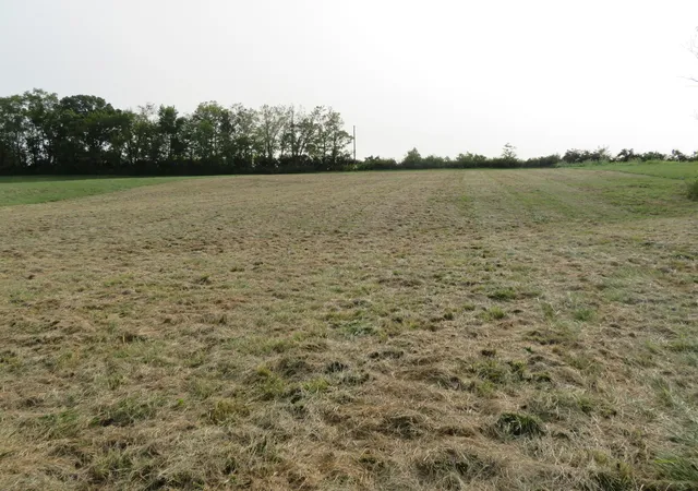 Photo 4 of Sale Pending at 590 Craig Xing, Winchester, KY 40391 | MLS# 25506729 | Listing updated on 2026-09-22