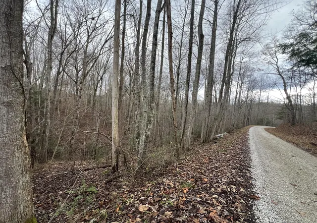 Photo 3 of Land for sale at 0000 London Dock Rd, London, KY 40744 | MLS# 25507020 | Listing updated on 2026-05-26