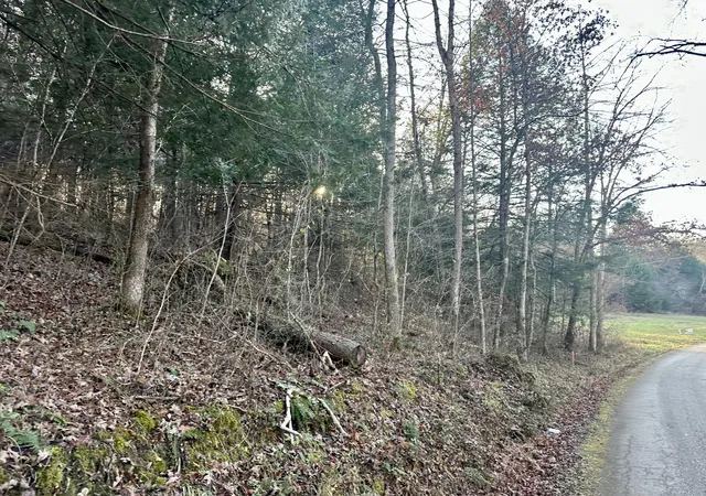 Photo 2 of Land for sale at Lot 13 Hensley Rd, East Bernstadt, KY 40729 | MLS# 25507164 | Listing updated on 2026-10-13