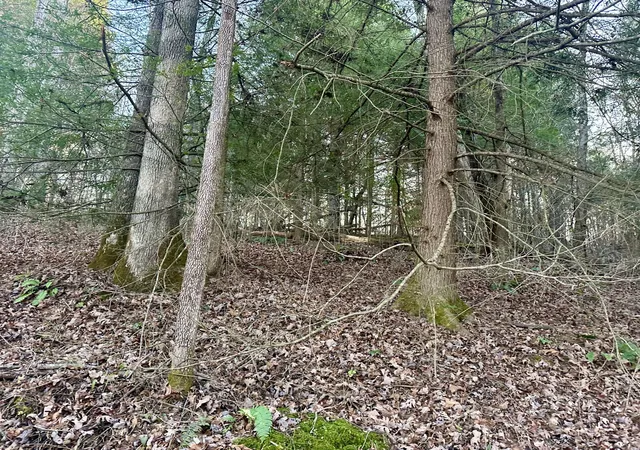 Photo 3 of Land for sale at Lot 13 Hensley Rd, East Bernstadt, KY 40729 | MLS# 25507164 | Listing updated on 2026-10-13