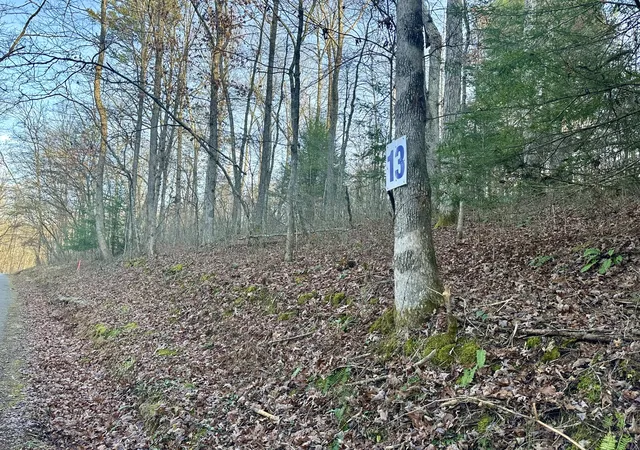 Photo 4 of Land for sale at Lot 13 Hensley Rd, East Bernstadt, KY 40729 | MLS# 25507164 | Listing updated on 2026-10-13