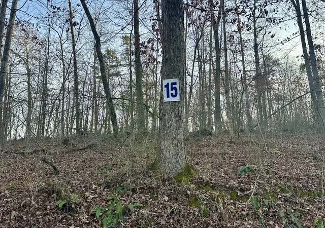 Photo 1 of Land for sale at Lot 15 Hensley Rd, East Bernstadt, KY 40729 | MLS# 25507167 | Listing updated on 2026-10-13