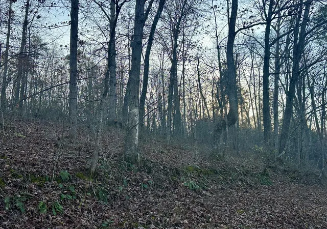 Photo 3 of Land for sale at Lot 15 Hensley Rd, East Bernstadt, KY 40729 | MLS# 25507167 | Listing updated on 2026-10-13