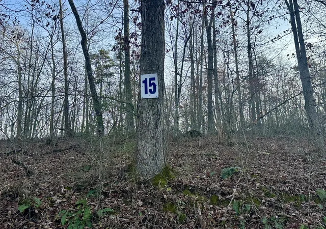 Photo 3 of Land for sale at Lot 15 Hensley Rd, East Bernstadt, KY 40729 | MLS# 25507167 | Listing updated on 2026-10-13