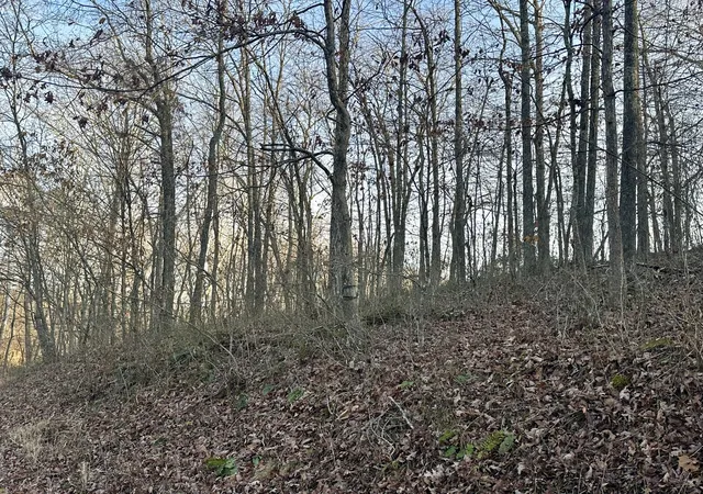 Photo 4 of Land for sale at Lot 15 Hensley Rd, East Bernstadt, KY 40729 | MLS# 25507167 | Listing updated on 2026-10-13