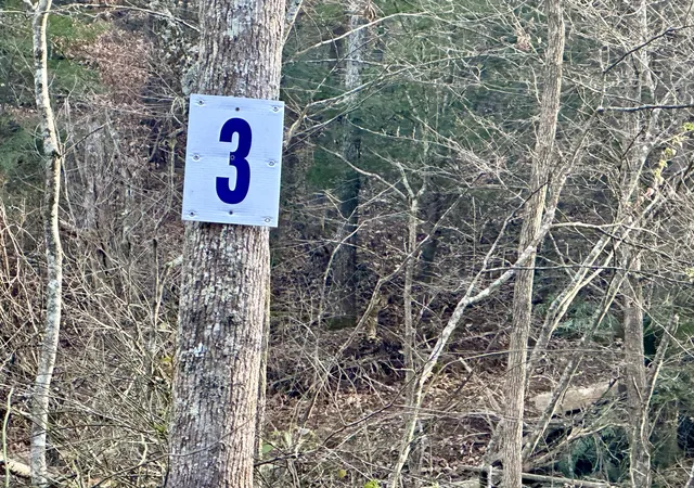Photo 1 of Land for sale at Lot 3 Radford Rd, East Bernstadt, KY 40729 | MLS# 25507171 | Listing updated on 2026-10-13
