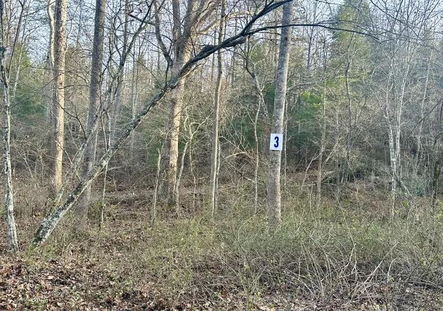 Photo 3 of Land for sale at Lot 3 Radford Rd, East Bernstadt, KY 40729 | MLS# 25507171 | Listing updated on 2026-10-13