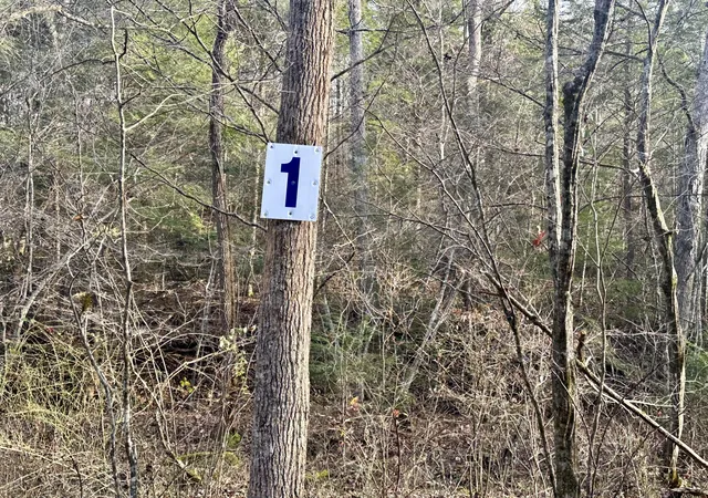 Photo 2 of Land for sale at Lot 1 Radford Rd, East Bernstadt, KY 40729 | MLS# 25507174 | Listing updated on 2026-10-13