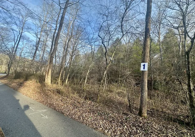 Photo 3 of Land for sale at Lot 1 Radford Rd, East Bernstadt, KY 40729 | MLS# 25507174 | Listing updated on 2026-10-13