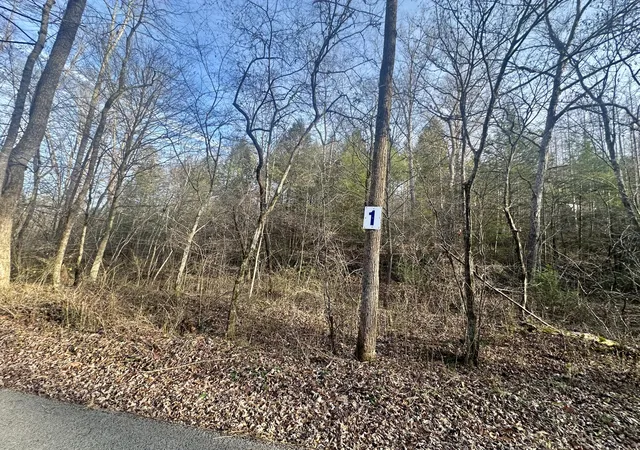Photo 4 of Land for sale at Lot 1 Radford Rd, East Bernstadt, KY 40729 | MLS# 25507174 | Listing updated on 2026-10-13