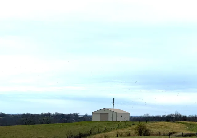 Photo 1 of Land for sale at Tract 17 Waits Rd, Cynthiana, KY 41031 | MLS# 25507201 | Listing updated on 2026-02-16