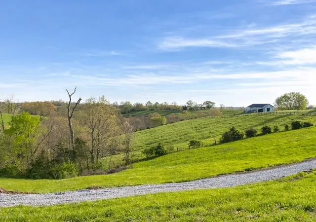 Homes for sale in Mount Olivet, KY | 1580 Sardis Rd Sardis Rd, Mount Olivet, KY 41064 | MLS# 25507407