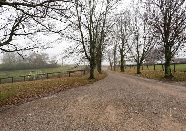 3rd image of 850 E Scotts Ferry Rd, Versailles, KY 40383 | MLS# 25507508