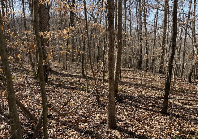 15th image of 1901 Dixie Bend Rd, Burnside, KY 42519 | MLS# 25507981