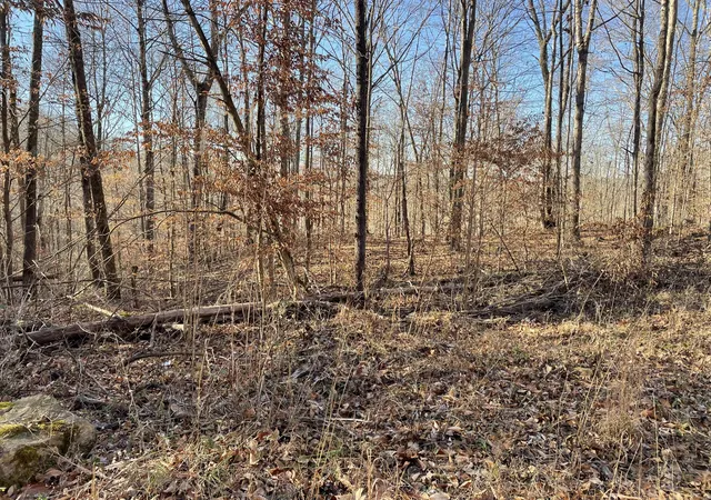 3rd image of 1901 Dixie Bend Rd, Burnside, KY 42519 | MLS# 25507981