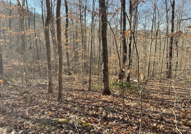 4th image of 1901 Dixie Bend Rd, Burnside, KY 42519 | MLS# 25507981