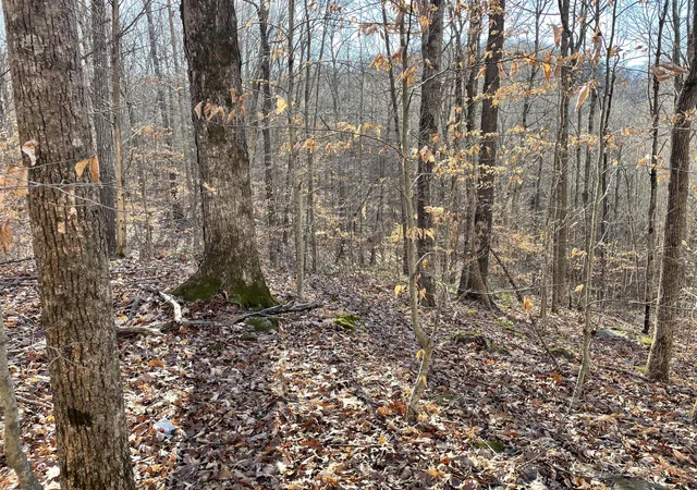 5th image of 1901 Dixie Bend Rd, Burnside, KY 42519 | MLS# 25507981
