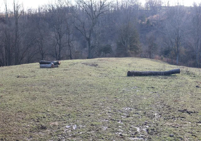 Photo 3 of Land for sale at 1 X Dixie Hwy, Carlisle, KY 40311 | MLS# 25508257 | Listing updated on 2025-12-20
