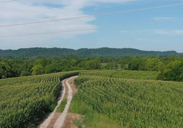 3rd image of 3330 Ky-1770, Stanford, KY 40484 | MLS# 25508424