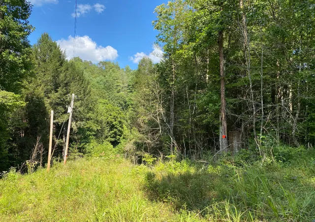Photo 3 of Land for sale at 44 Indian Valley Retreat, Jackson, KY 41339 | MLS# 25508473 | Listing updated on 2026-07-08