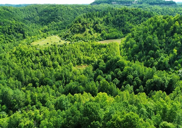 Photo 1 of Land for sale at 3800a Butcher Holw Rd, Van Lear, KY 41265 | MLS# 26006361 | Listing updated on 2026-09-30