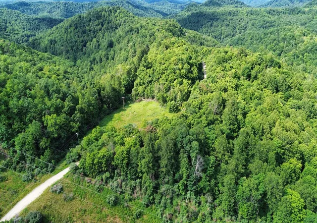 Photo 2 of Land for sale at 3800a Butcher Holw Rd, Van Lear, KY 41265 | MLS# 26006361 | Listing updated on 2026-09-30