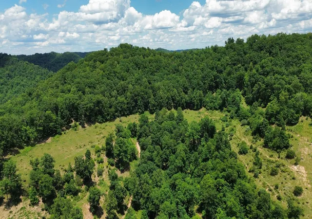 Photo 3 of Land for sale at 3800a Butcher Holw Rd, Van Lear, KY 41265 | MLS# 26006361 | Listing updated on 2026-09-30