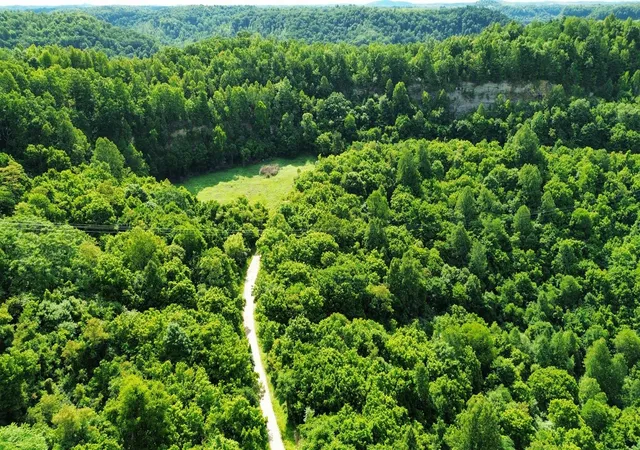 Photo 3 of Land for sale at 3800a Butcher Holw Rd, Van Lear, KY 41265 | MLS# 26006361 | Listing updated on 2026-09-30
