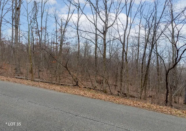 Homes for sale in Somerset, KY | Lot 35 Knights Lane, Somerset, KY 42503 | MLS# 26000408