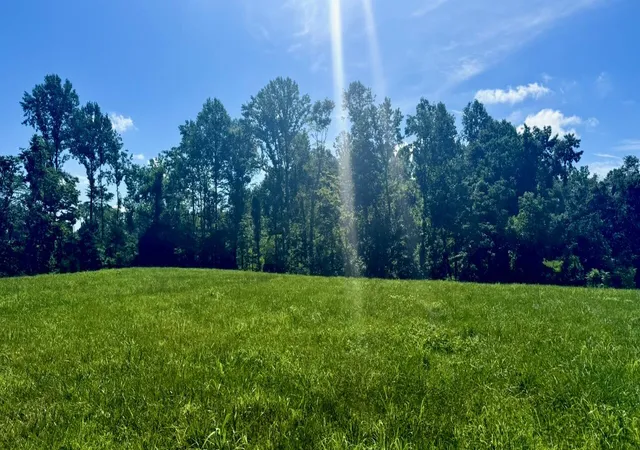 Photo 1 of Land for sale at 162 Douglas Rd, Russell Springs, KY 42642 | MLS# 26001138 | Listing updated on 2026-08-07
