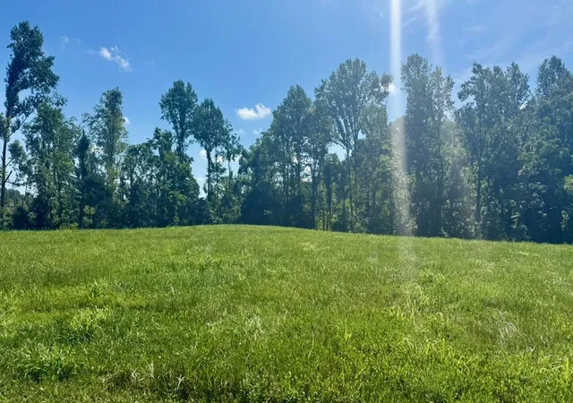 Photo 2 of Land for sale at 162 Douglas Rd, Russell Springs, KY 42642 | MLS# 26001138 | Listing updated on 2026-08-07