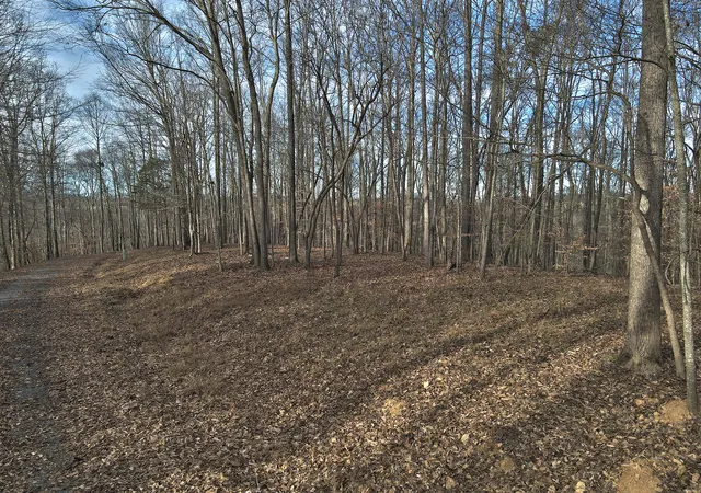 Photo 2 of Land for sale at 27 Piper Rd, Russell Springs, KY 42642 | MLS# 26001350 | Listing updated on 2026-10-13