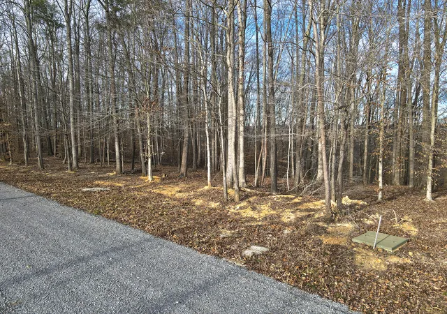 Photo 3 of Land for sale at 27 Piper Rd, Russell Springs, KY 42642 | MLS# 26001350 | Listing updated on 2026-10-13
