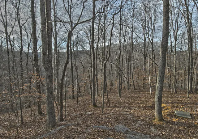 Photo 2 of Land for sale at 25 Piper Rd, Russell Springs, KY 42642 | MLS# 26001348 | Listing updated on 2026-06-02