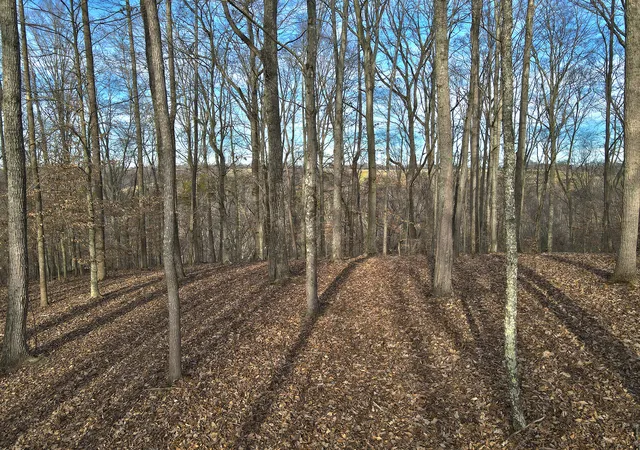 Photo 3 of Land for sale at 25 Piper Rd, Russell Springs, KY 42642 | MLS# 26001348 | Listing updated on 2026-06-02