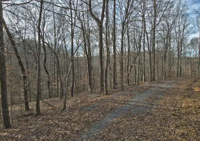Photo 4 of Land for sale at 25 Piper Rd, Russell Springs, KY 42642 | MLS# 26001348 | Listing updated on 2026-06-02