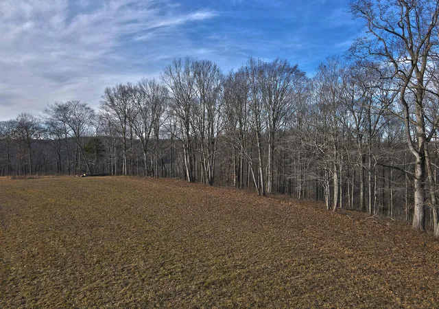 Photo 3 of Land for sale at 12 Dockery Rd, Russell Springs, KY 42642 | MLS# 26001339 | Listing updated on 2026-10-13