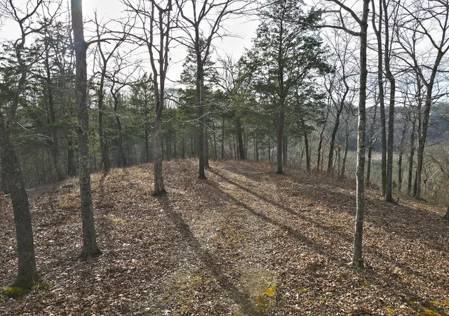 Photo 3 of Land for sale at 46 Carson Rd, Russell Springs, KY 42642 | MLS# 26001310 | Listing updated on 2026-10-13