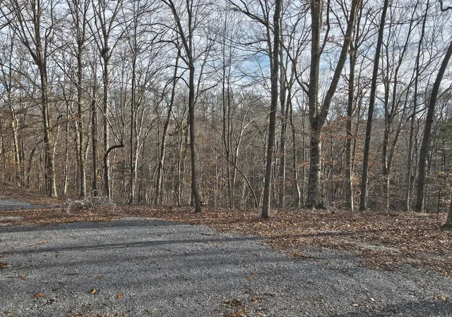 Photo 4 of Land for sale at 45 Carson Rd, Russell Springs, KY 42642 | MLS# 26001309 | Listing updated on 2026-10-13