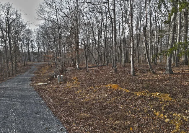 Photo 3 of Land for sale at 43 Carson Rd, Russell Springs, KY 42642 | MLS# 26001307 | Listing updated on 2026-06-02