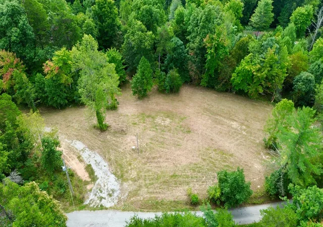 Land for sale at 245 Mcconnell Branch Rd, Olive Hill, KY 41164 | MLS# 26001847