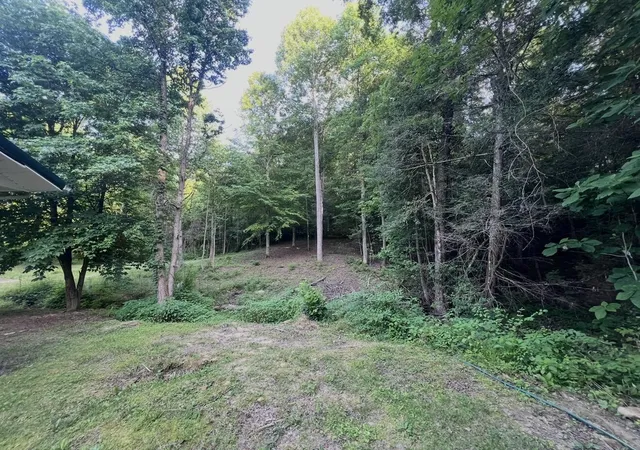 33rd image of 149 Buggs Ln, London, KY 40744 | MLS# 26002108
