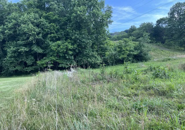 Homes for sale in Liberty, KY | 136 Taylor Loop Rd, Liberty, KY 42539 | MLS# 26002114