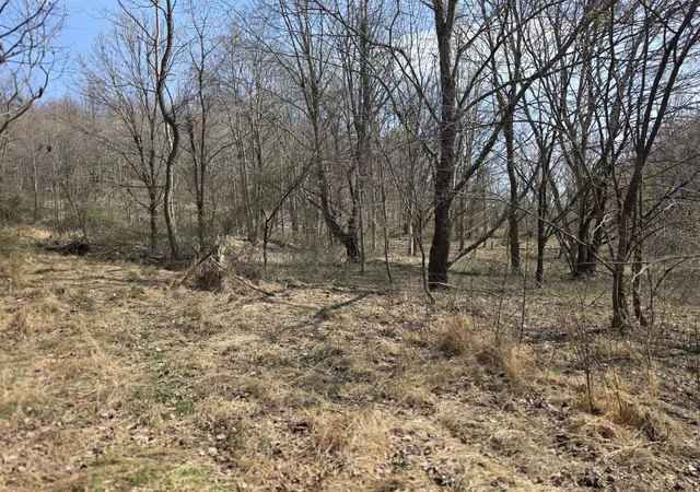 Photo 4 of Land for sale at 9999 3041 (corbin Bypass) Hwy, Corbin, KY 40701 | MLS# 26004089 | Listing updated on 2026-08-25
