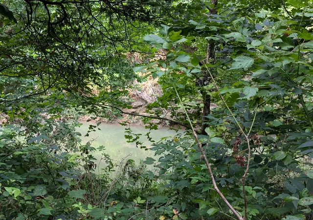 Photo 3 of Land for sale at 30 Highway 89, Livingston, KY 40445 | MLS# 26003023 | Listing updated on 2026-07-28
