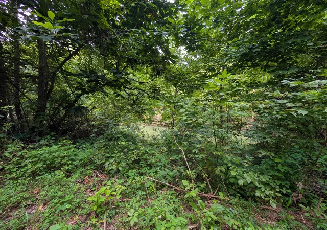 Photo 4 of Land for sale at 30 Highway 89, Livingston, KY 40445 | MLS# 26003023 | Listing updated on 2026-07-28