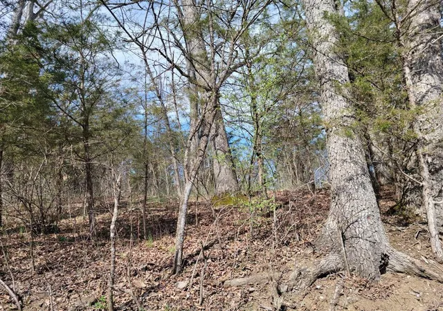 Photo 3 of Land for sale at 0 Union Ridge Rd, Frankfort, KY 40601 | MLS# 26003255 | Listing updated on 2026-09-14