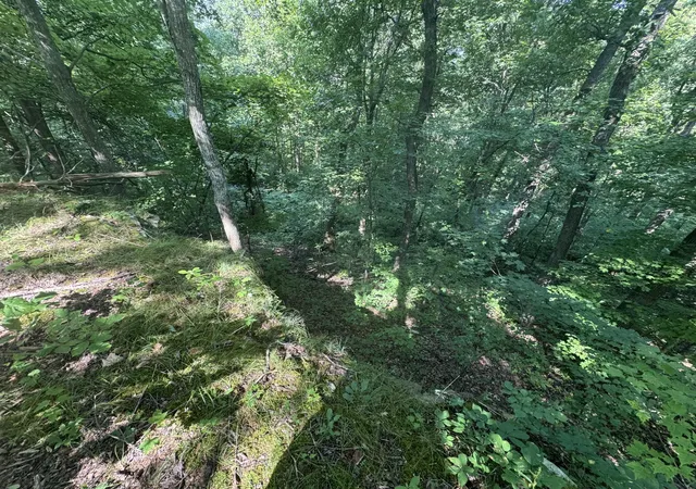 Homes for sale in Jeffersonville, KY | 0 State Hwy 1050, Jeffersonville, KY 40337 | MLS# 26004306
